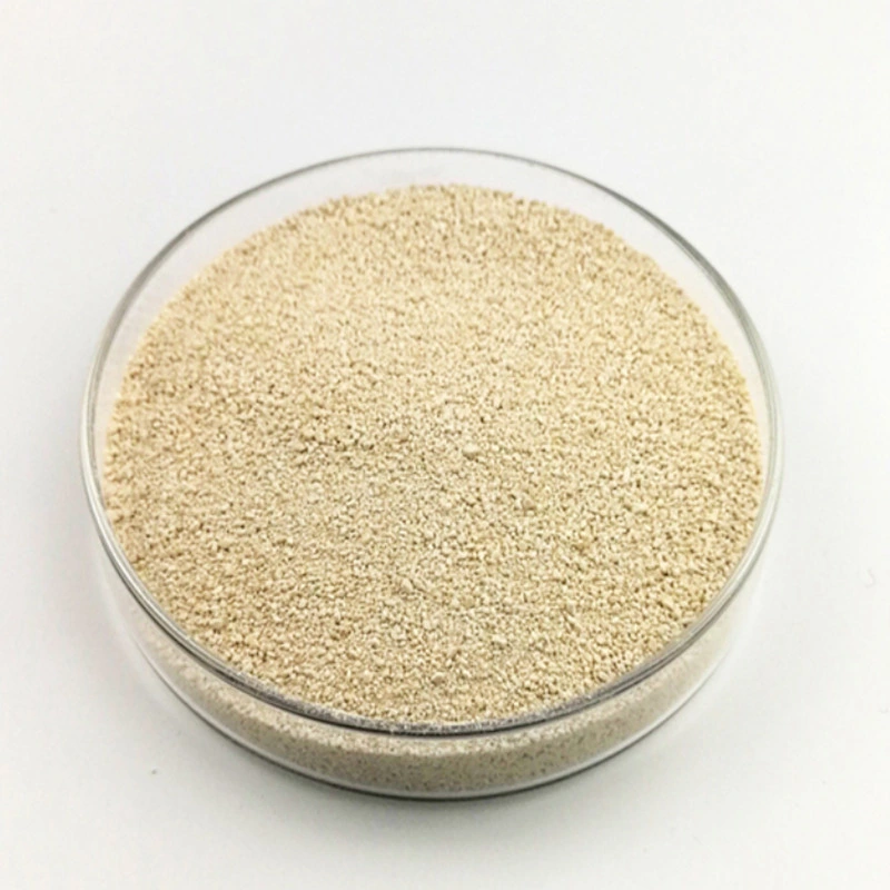 China Pharma Food Lysine HCl Feed Grade High Purity L Lysine HCl