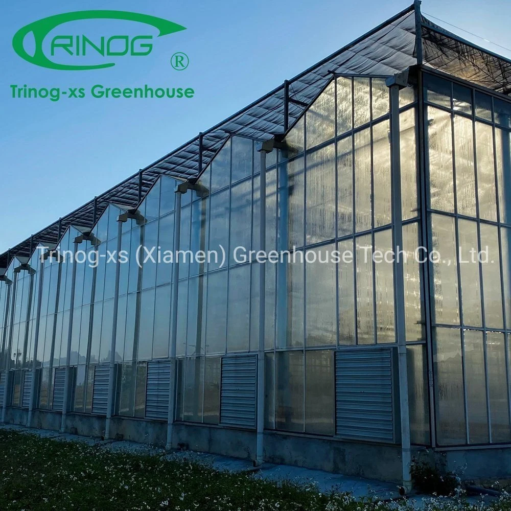 Low Cost OEM Multi-span Galvanized Steel Pipe Structure Glass Greenhouse for Seeding Planting