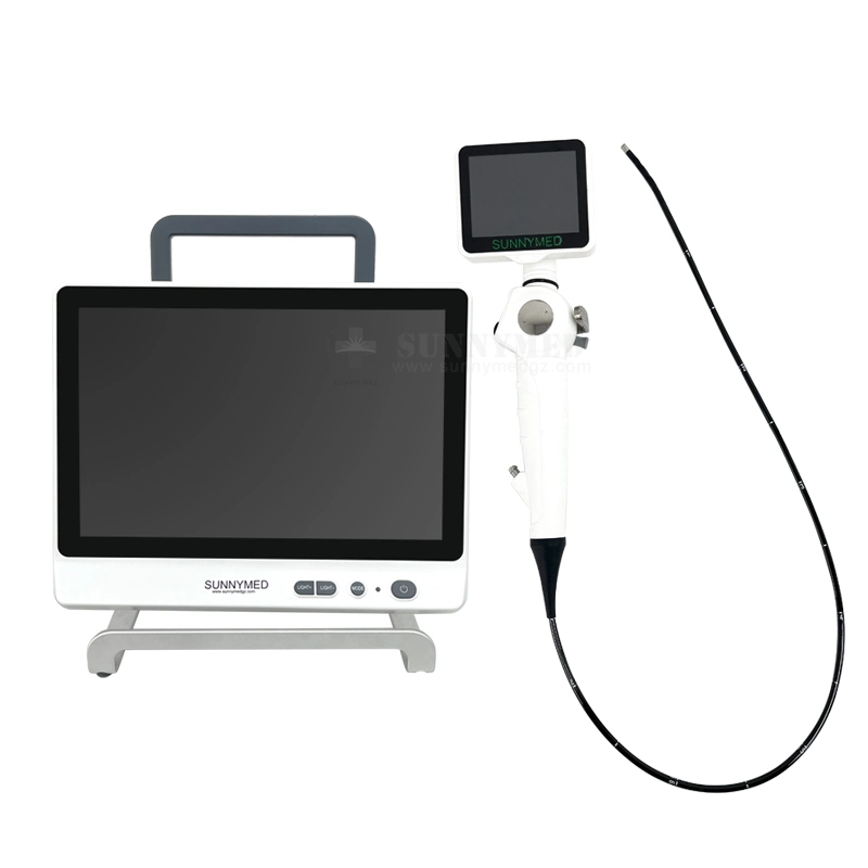 Sy-Wp029-3 Best Price Electronic Endoscope Veterinary Video Gatrascope Vet Gastroscope Camera