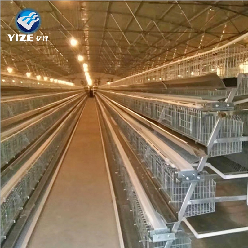 Los productos más vendidos 96, 120, 128, 160 de la capa de aves de la batería de jaulas de aves de corral Pollo a la venta