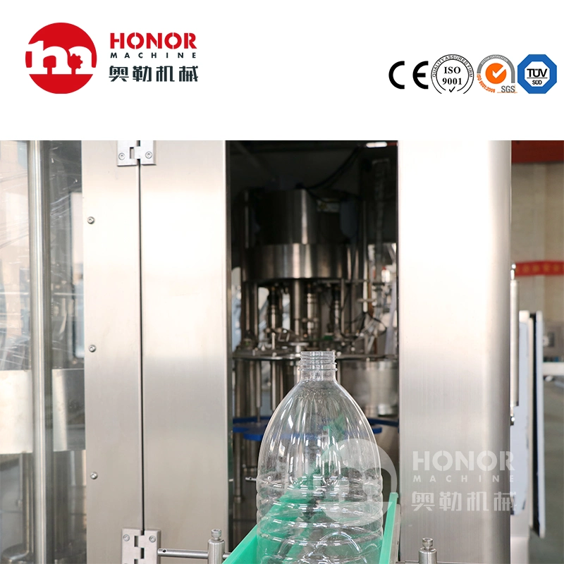 Simple Operation of Sterile Bucket Large Capacity Raw Water Filter Filling Production Equipment