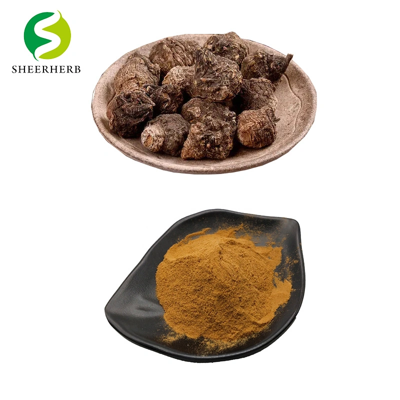 Hight Quality Maca Root Extract Powder Organic Maca Powder