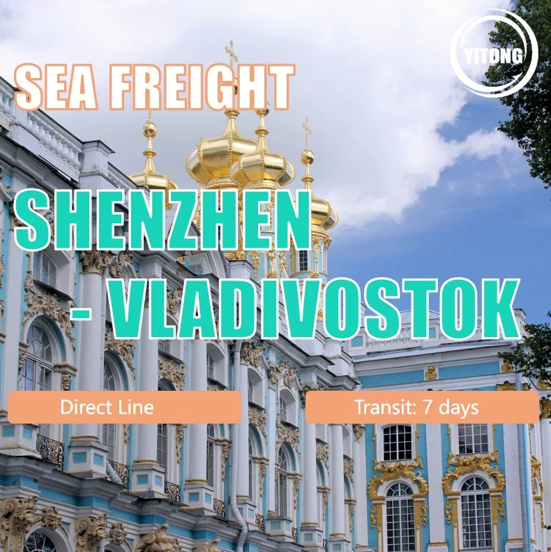 Shipping Sea Freight From China to St Petersburg 1688 Shipping Agent Logistics