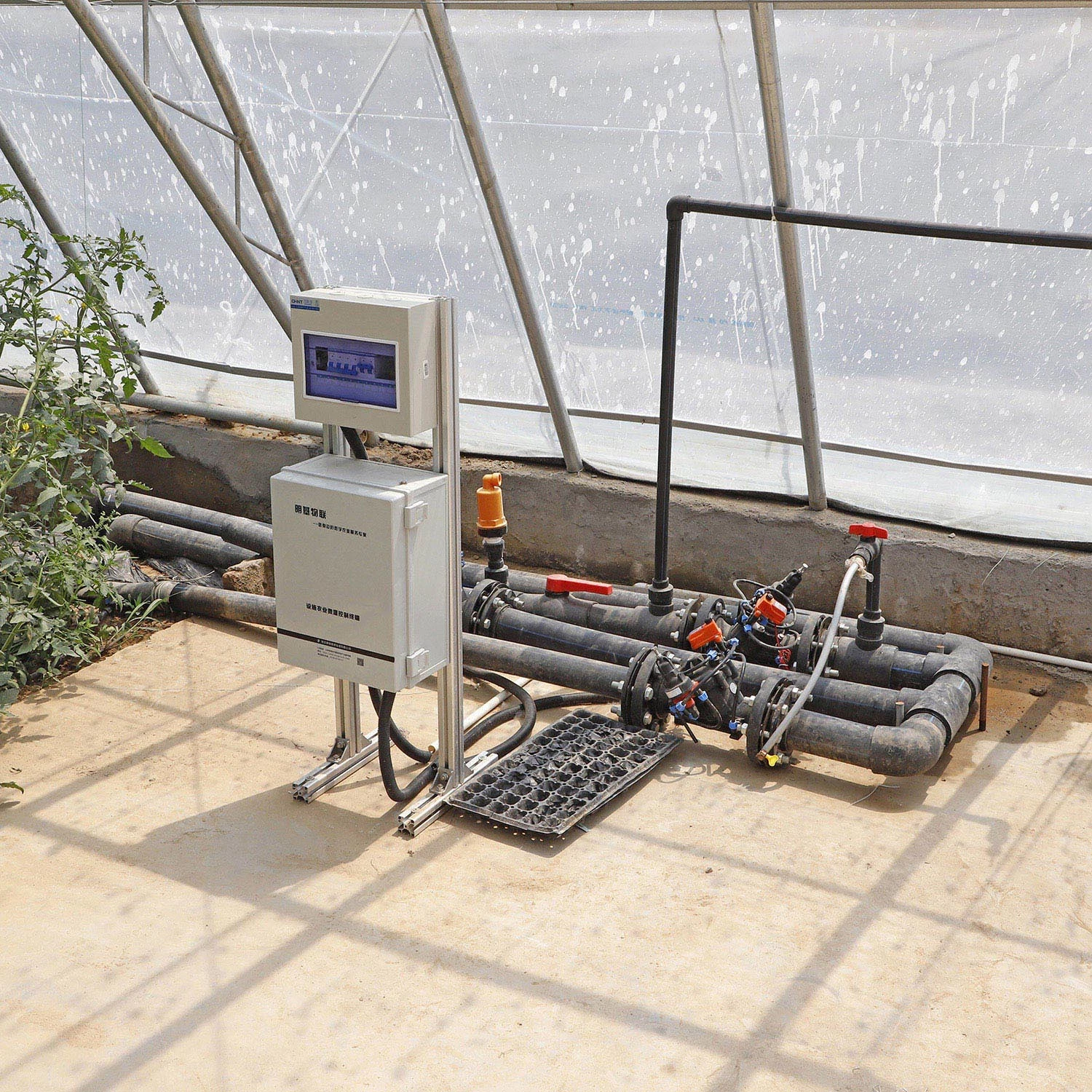 Prefabricated Solar Greenhouse with Automatic Control Equipment for Modern Agriculture