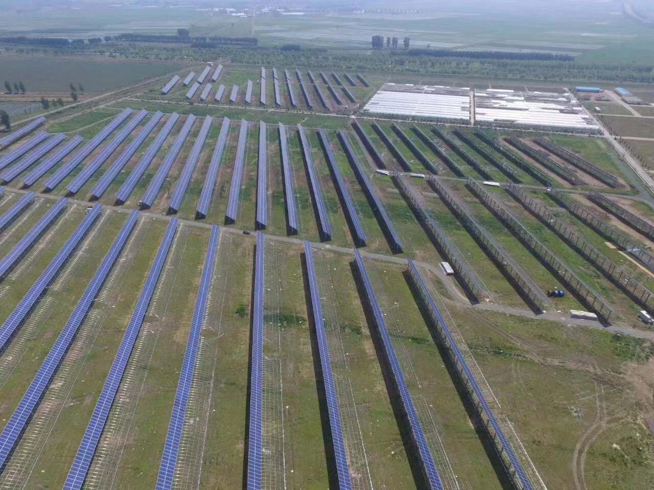 Photovoltaic Greenhouse (PVG) / Serre à film solaire de style chinois avec couverture isolante thermique.