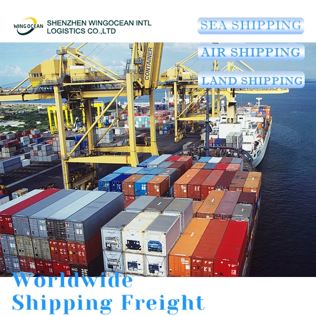 Reliable Excellent China DDP Sea Shipping Door to Door Delivery Logistics Freight Forwarder Shipping From China to Dubai/ Saudi Arabia/ Kuwait