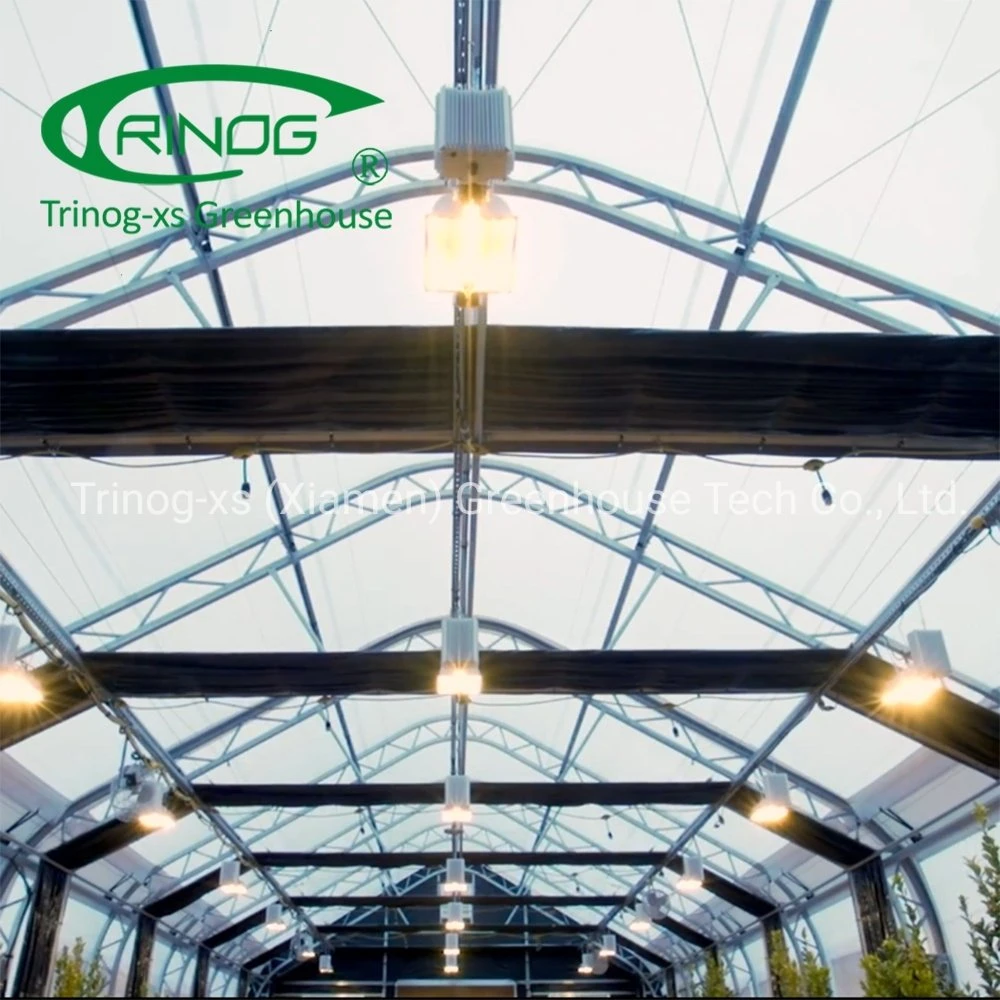 Trinog Greenhouse Commercial used hydroponics panda film all blackout medical herb greenhouse for sale