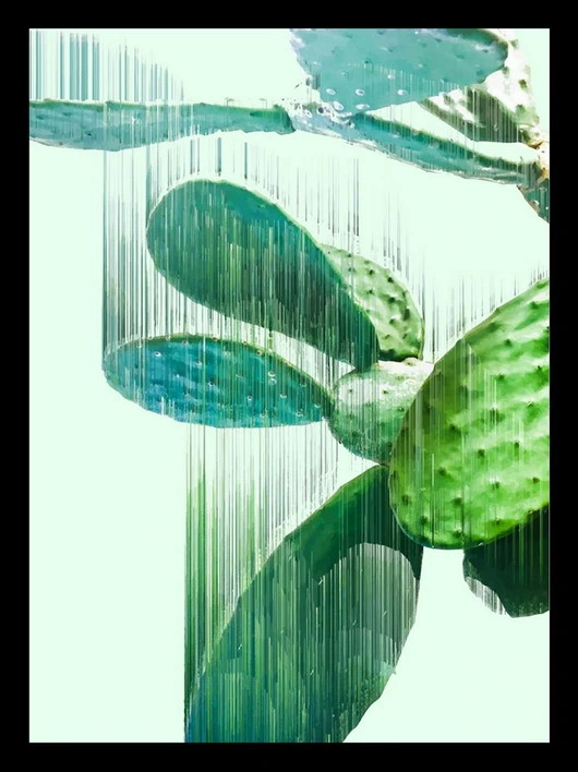 Cactus Aloe Vera planta botânica estilo Verde tela moderna personalizada Pintura de parede de arte - Home Hotel barato decoração moldura imagem