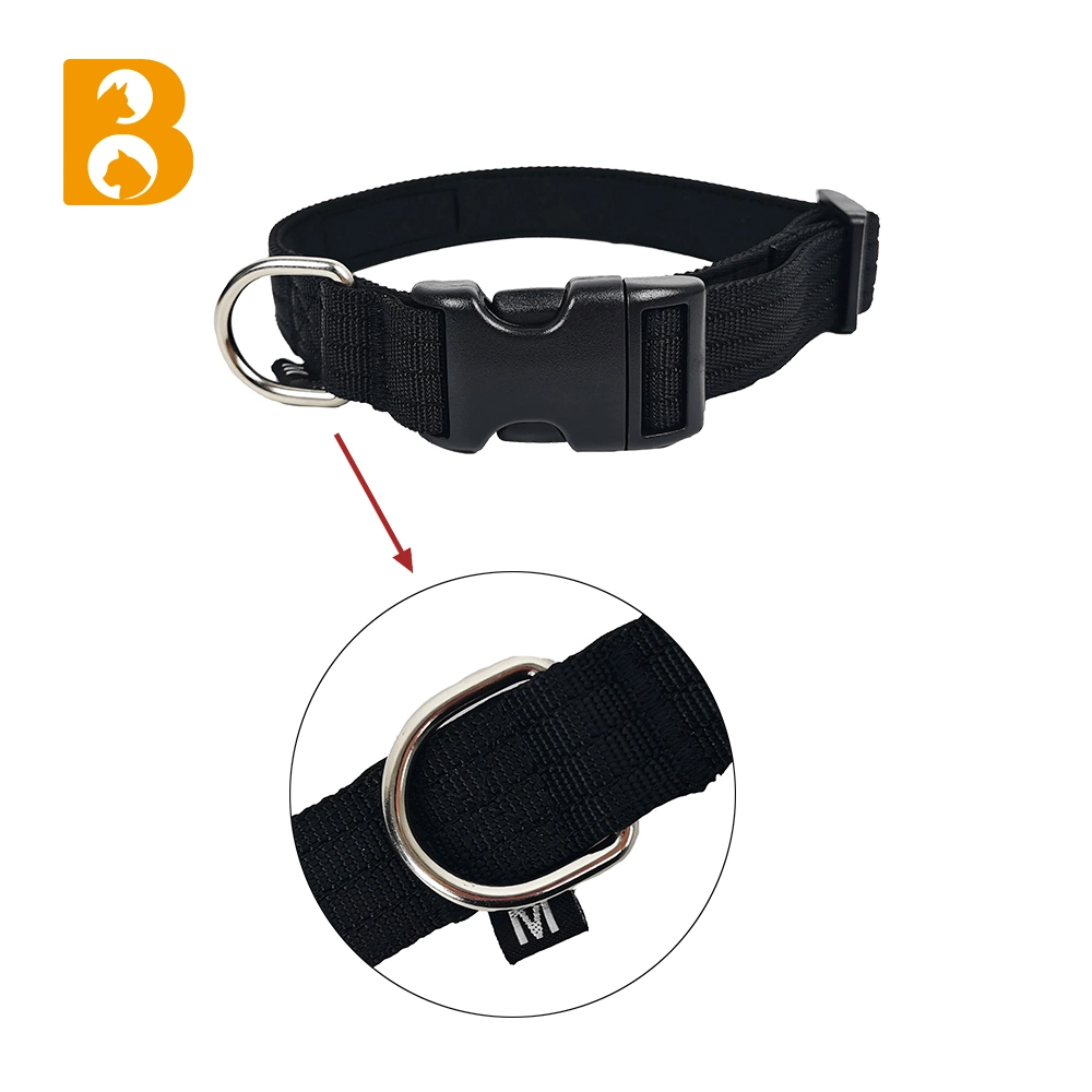 Collier pour chien assorti avec laisse pour l'entraînement de marche de haute qualité Fils de collier pour chien en nylon PET