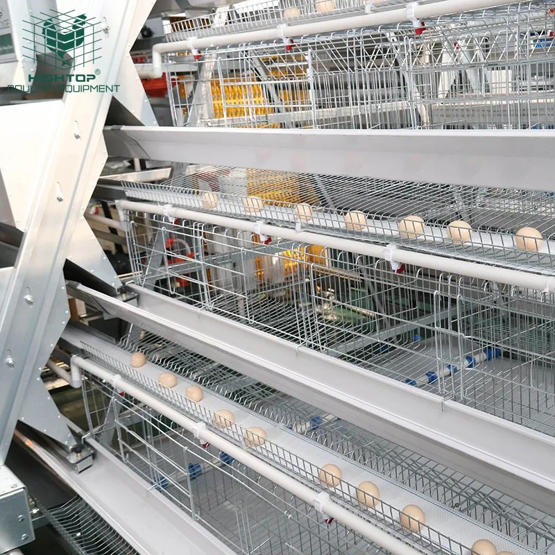 Design Fully Automatic 3 Tiers A Type Eggs Layer Chicken Breeding Cage for Hen House