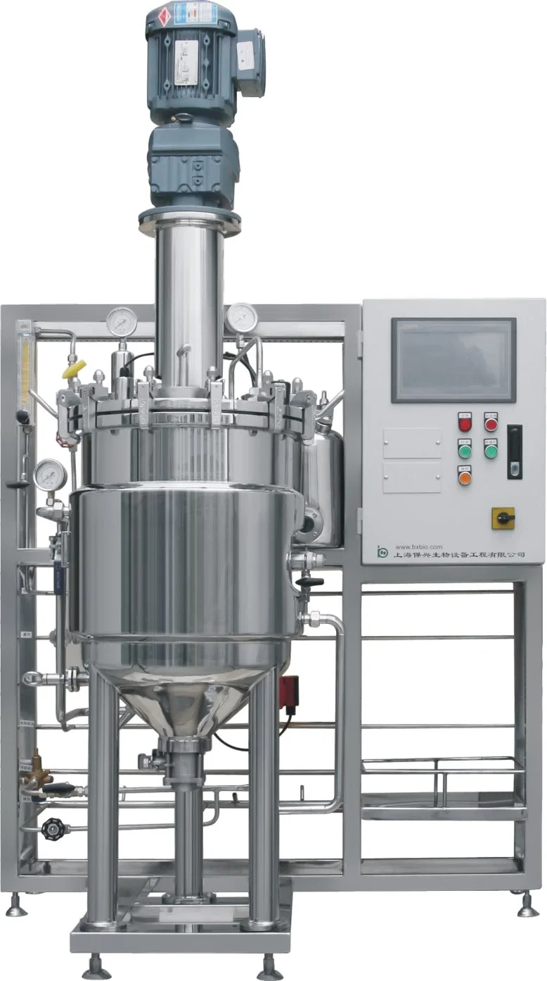 Laboratory Stainless Steel Automatic Sterilization and Fermentation Equipment