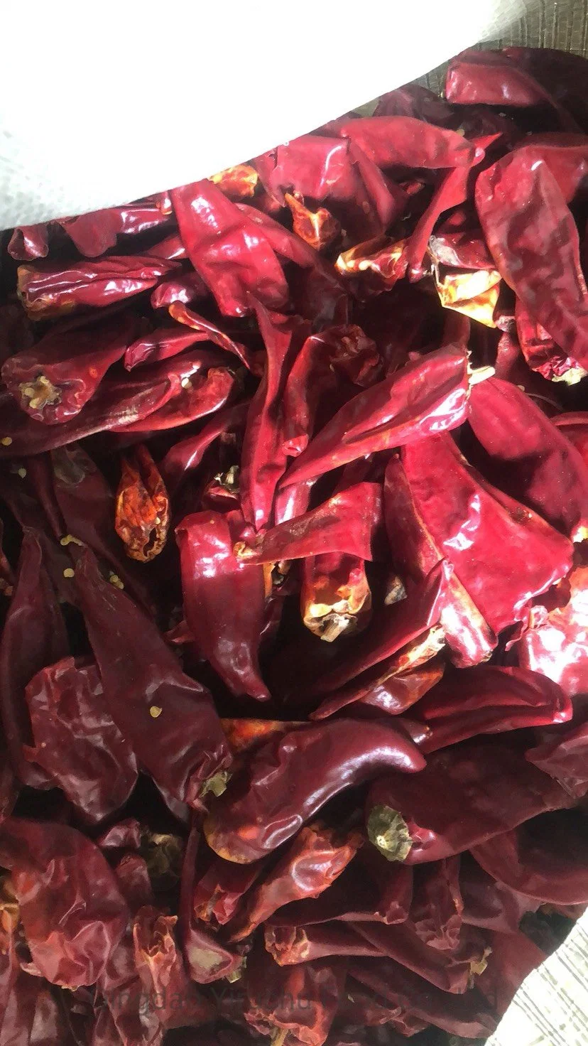 Good Price Sweet Paprika Dry Red Chilli