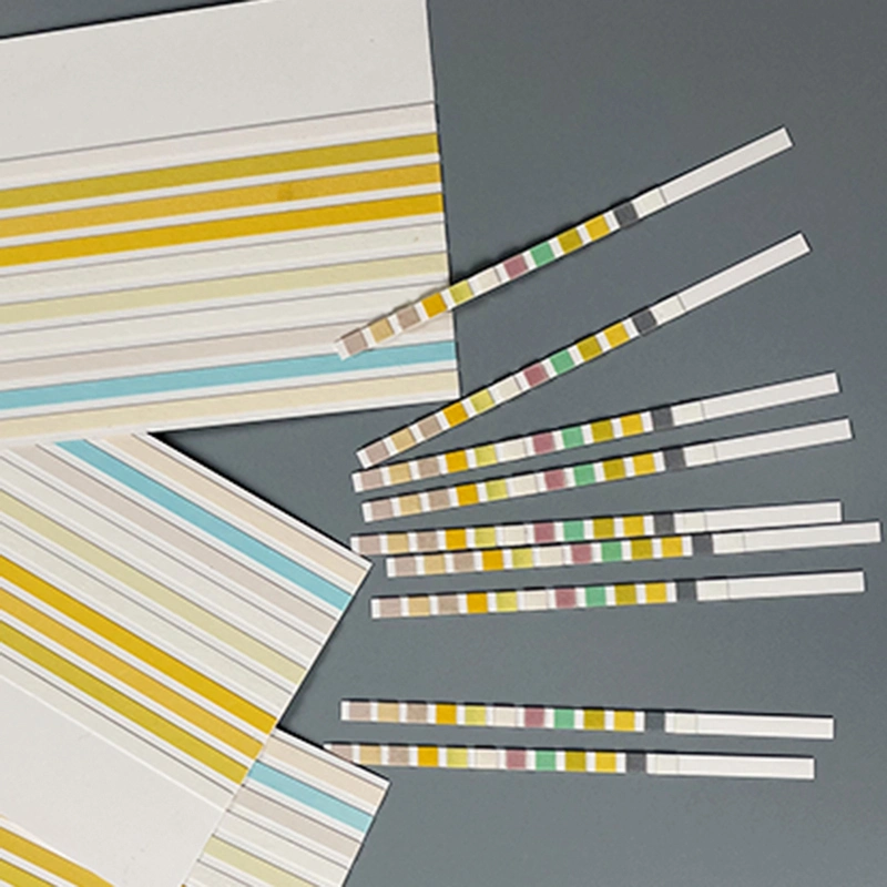 12 paramètres de l'analyse de l'Urine test de bande de réactif