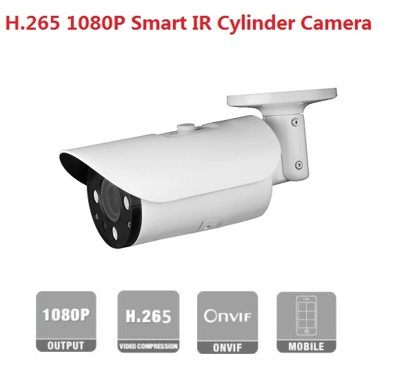 Fsan 8MP 4K 5MP 4MP 2MP Human Car Detection Smart Ai Intelligent Metal Bullet IP Camera