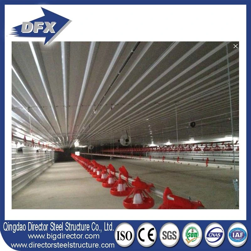 Import China Frame Poultry Farm Steel Structure Chicken House