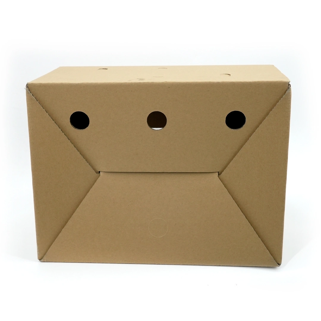 Packaging Custom Design Kraft Paper Corrugated Carton