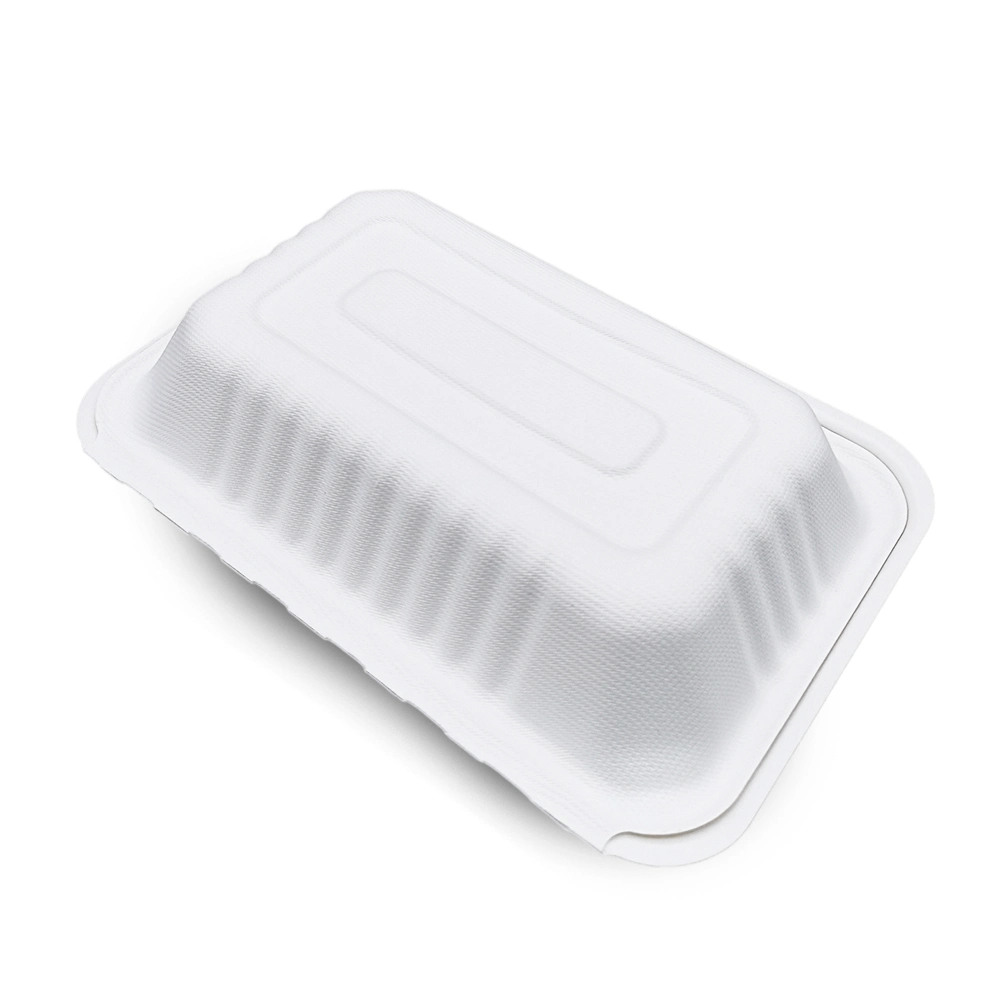 Concha Compostable biodegradables desechables para llevar la caña de azúcar Bento Box Lunch