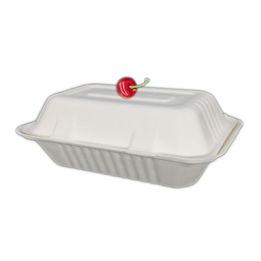 Biodegradable Disposable Sugar Cane Lunch Box, Bagasse Meal Box