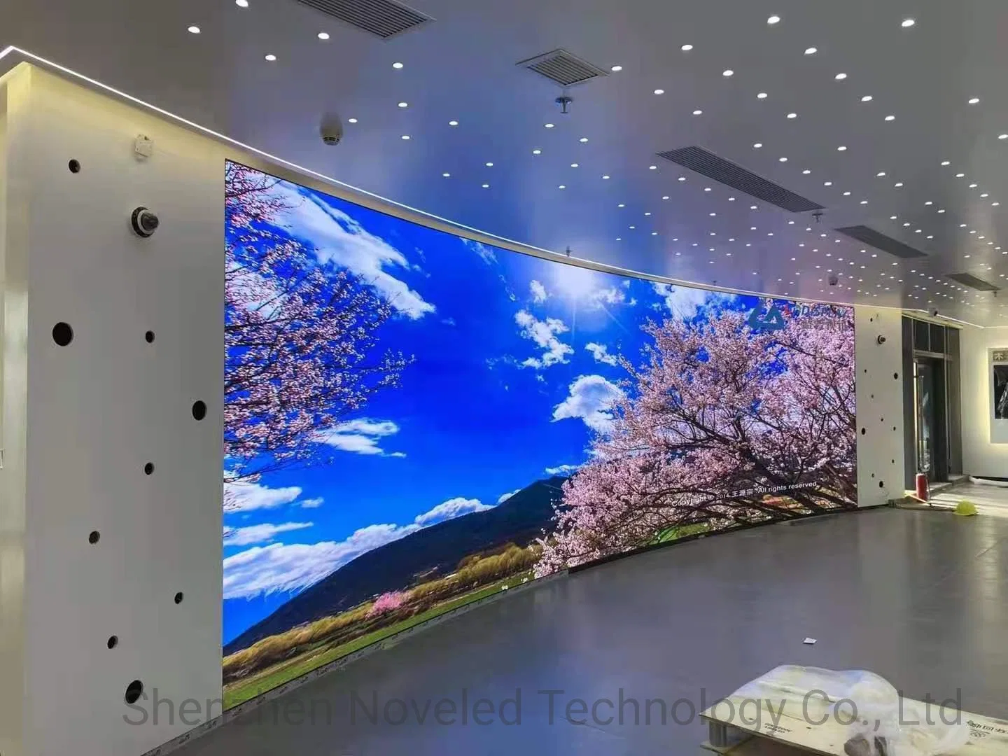 Full Color Indoor Outdoor Advertising Rental Curved Digital Mobile Flexible SMD Poster Glass Window TV LED Screen Display with P1.2 P1.8 P2.5 P3.91 Price
