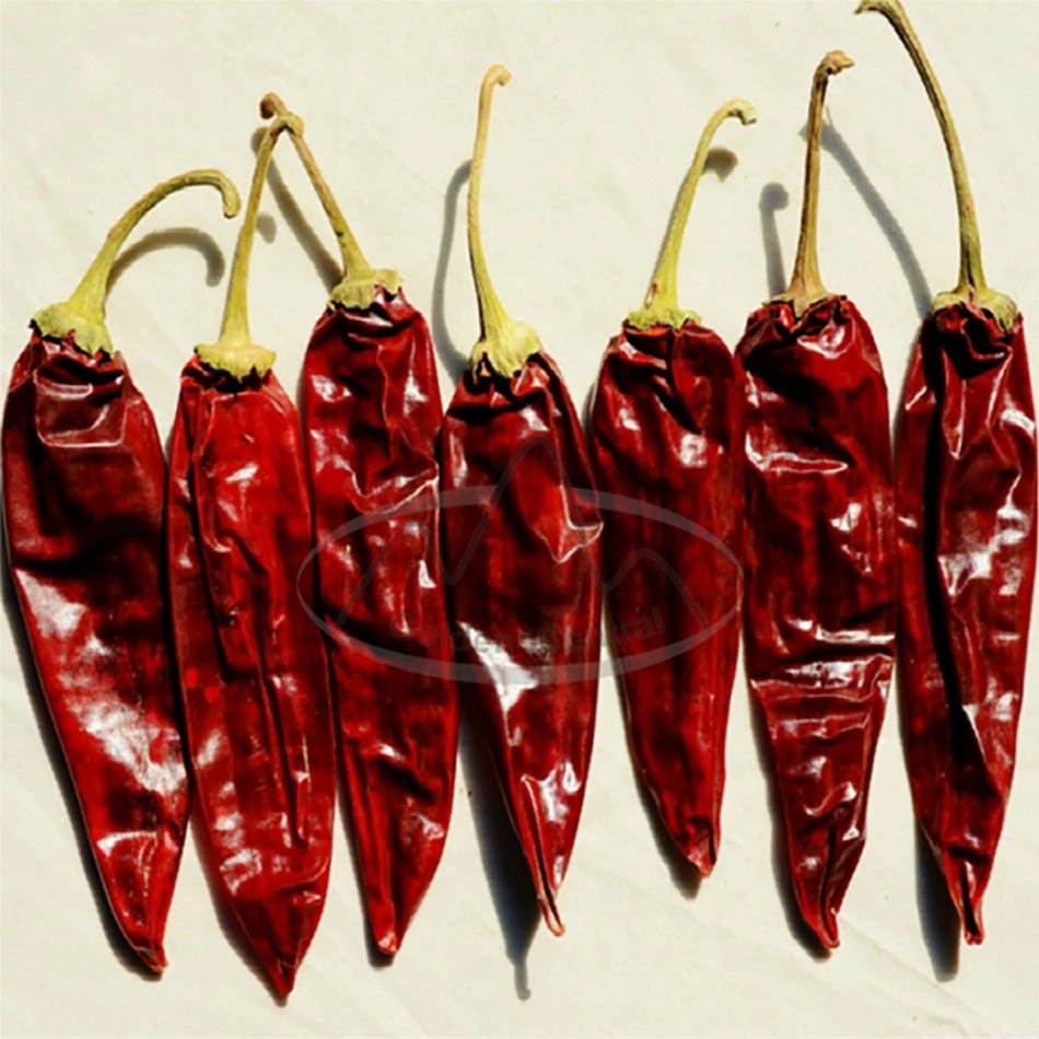 Los cultivos orgánicos secos picante Chili Super Hot en el extranjero de exportación