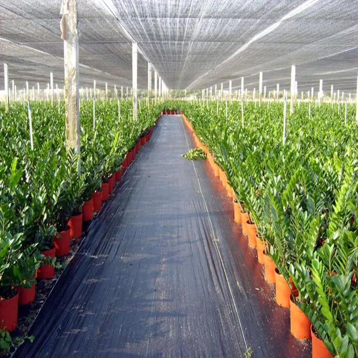 Agricultural Plastic Heavy Duty Weed Blocking Fabric, Garden Weed Blocking Fabric in Rolls, 100% Light Resistant Woven Weed Control Fabric for Vegetables, Fruit