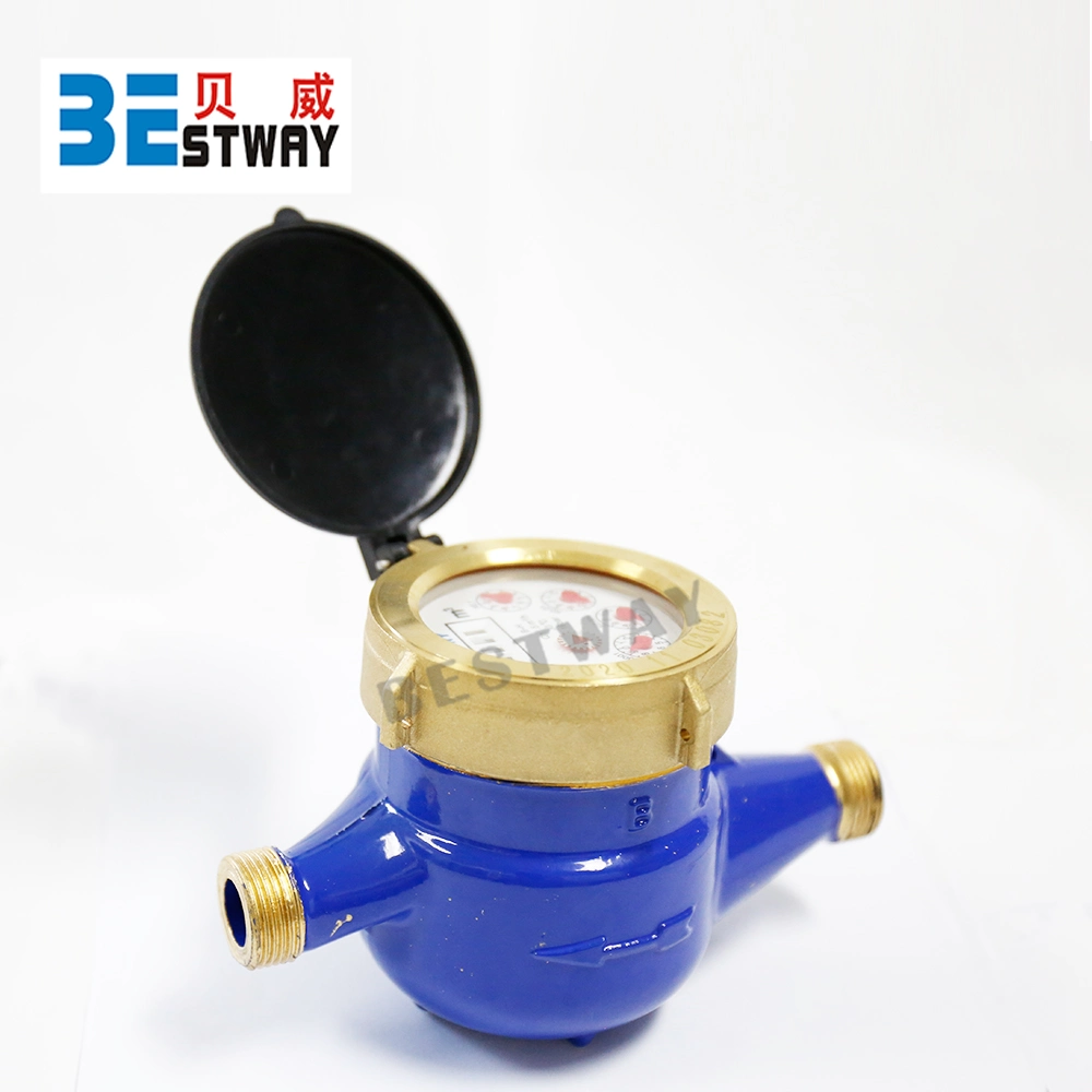 2 Years Bestway Export Carton and Pallet Steel Dry Water Meter Price