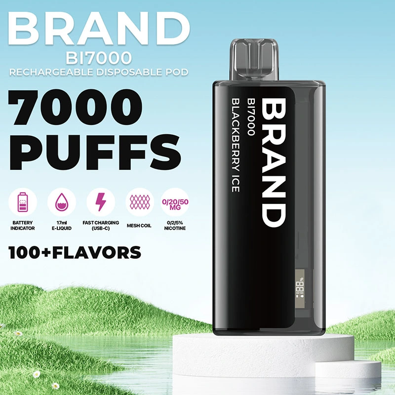 2023 Hidi OEM ODM marca particular Branco rótulo recarregável 24 Pano descartável para o ecrã de tela de tela de núcleo em malha cerâmica Flavours 7000 	Poco Vape Espanha