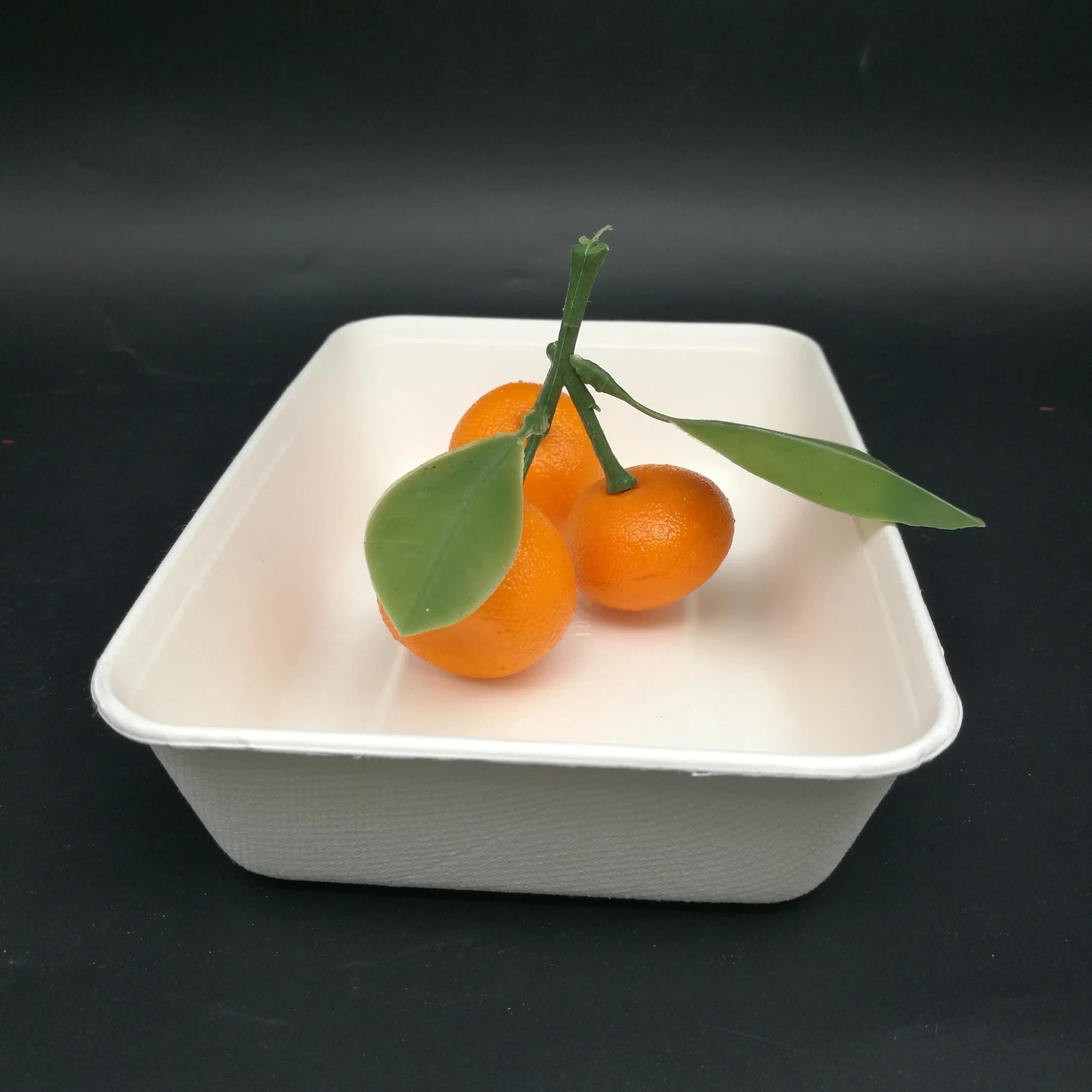 Biodegradable Compostable Paper Tableware Bagasse/500ml Sugarcane Food Box/Food Container