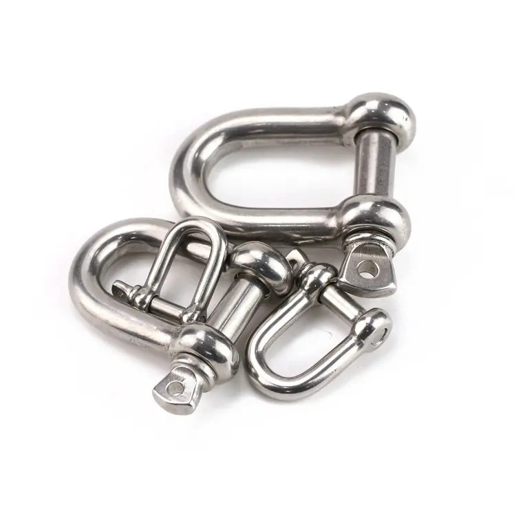 Stainless Steel D Shackle Made in China