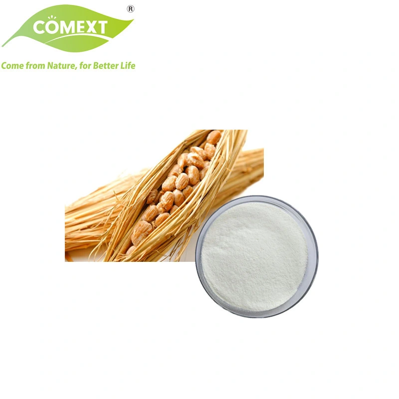 Comext Manufacturer Halal Kosher Best Price Sell Bulk Organic Food Grade Bacillus Subtilis Natto Nattokinase