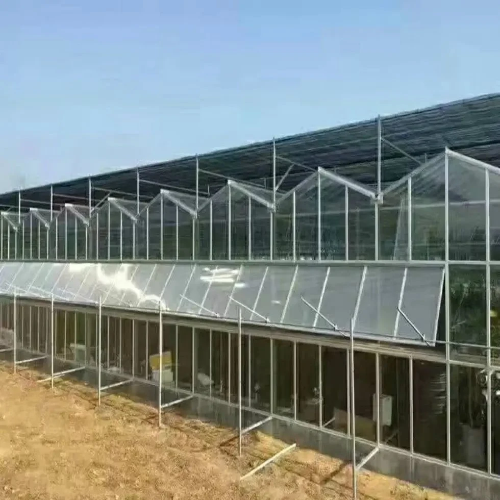 Agricultural Multi-Span Glass Greenhouse with External/Internal Shading System