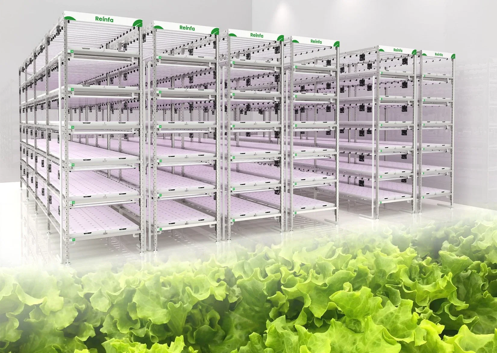 Vertikales Hydroponisches Grow Rack-System