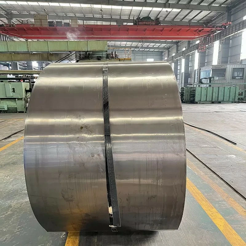 Factory Price Professional Widely Use Cold Rolled Strip Coil Stainless Steel Strips