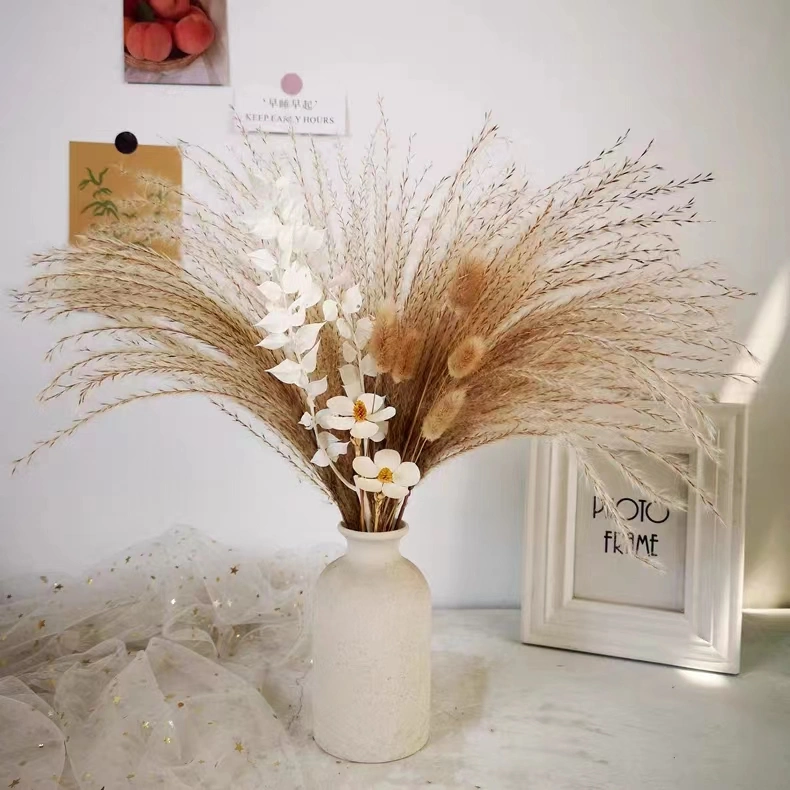 Dried Flowers with Reeds for Home Decoration