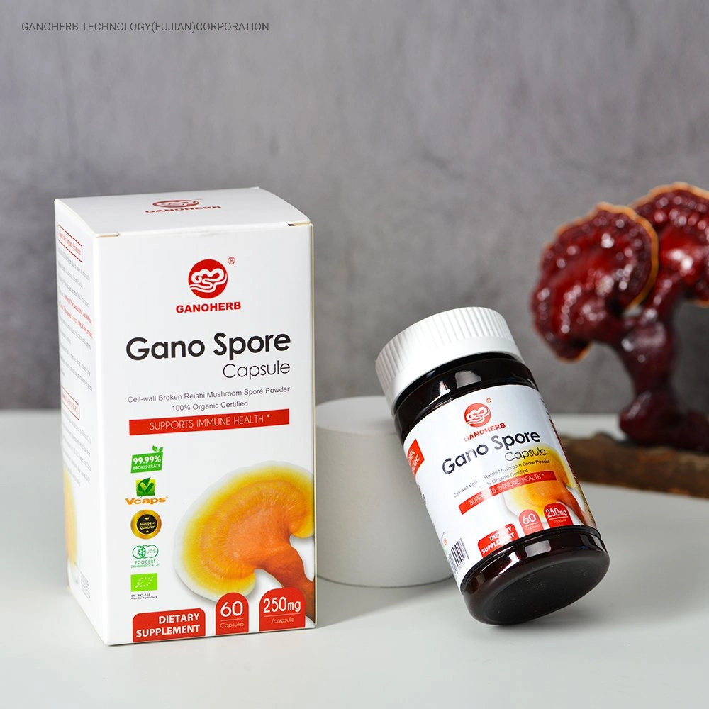 Shell Wall Broken Ganoderma Capsule Reishi Spore Capsule with Organic Certificate