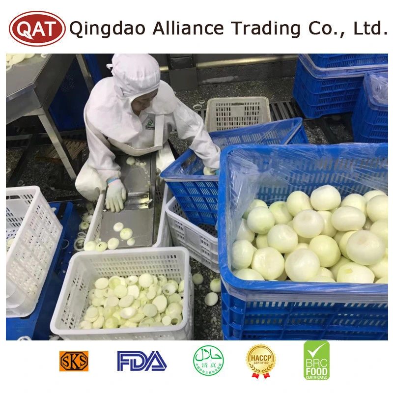 China Pelados Cebola Pelado Branca Natural Amarelo Verde descascada legumes frescos de cebola cebola com saco de malha