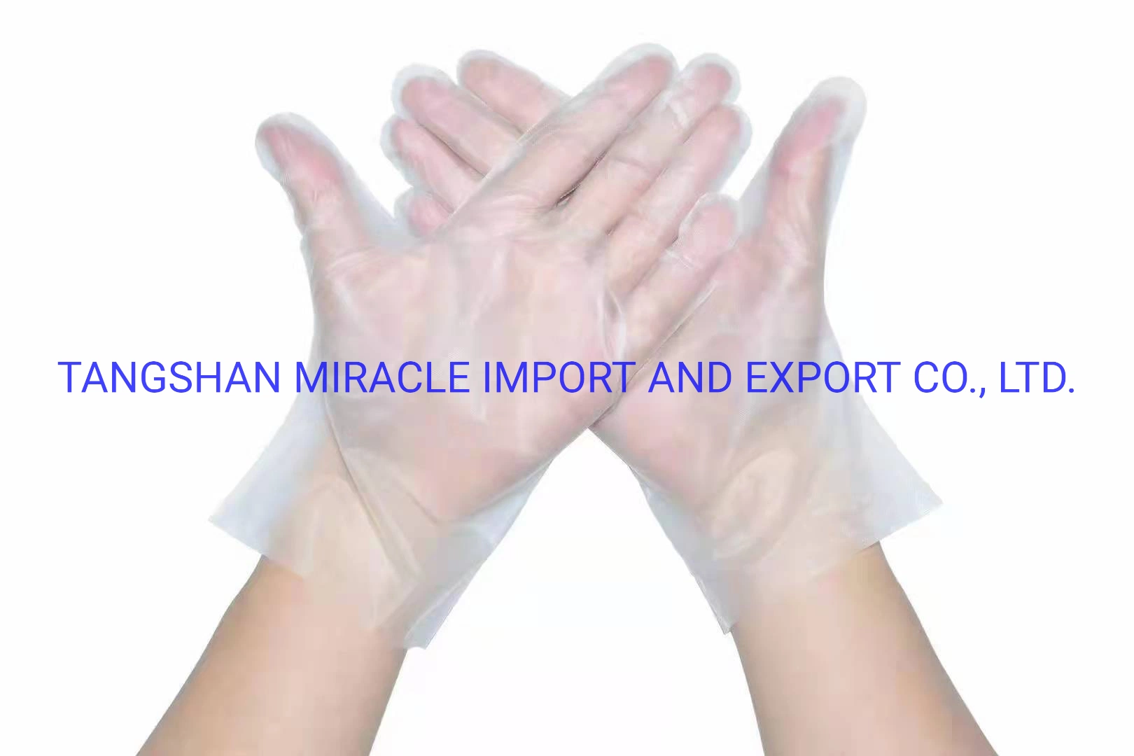 Protective Gloves Powder Free/Powdered PVC/ CPE /Glove Disposable Gloves Food Grade Industrial Grade Examination Glove