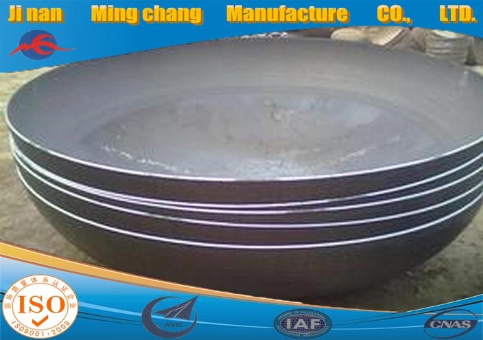 Stainless Steel Oval Head Cold Heading Forming