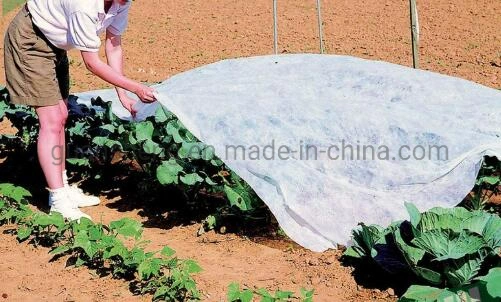 Zhejiang Guansheng Ccompany Made in China Good Quality Good Serves Moisturized Plant Fabric Nonwoven Fabric Agriculture Covers Fabric