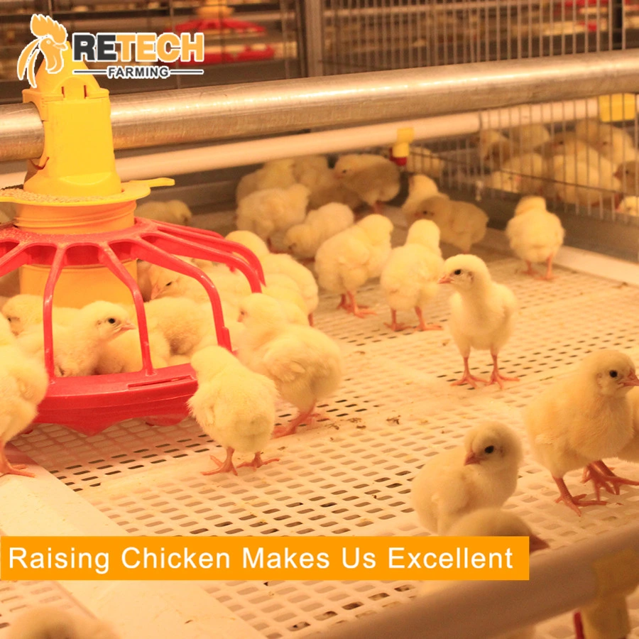 Automatic Broiler Chicken Farm Battery Cage Poultry Farming Equipment for sale