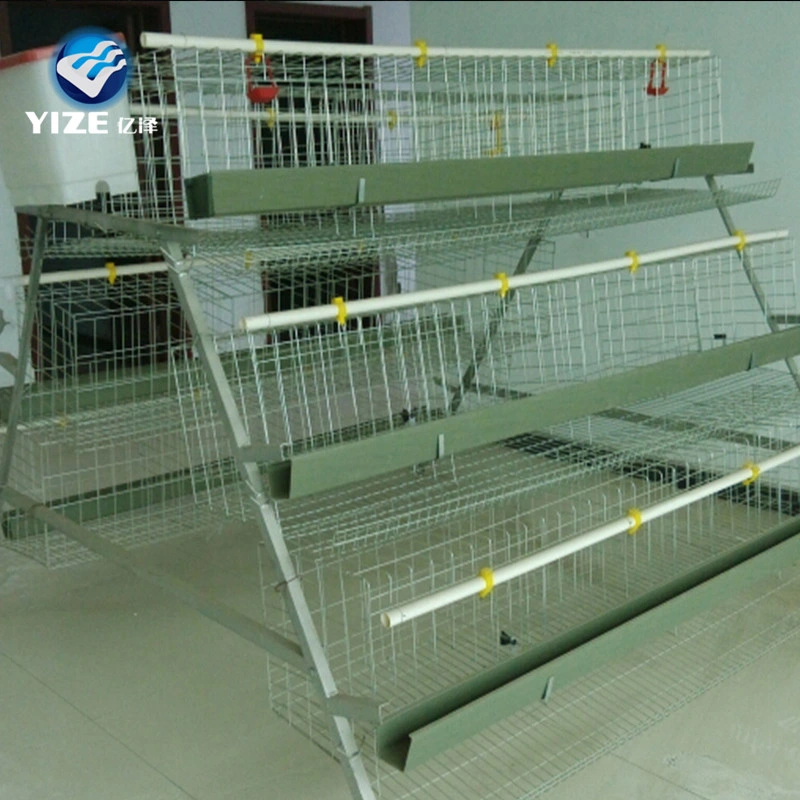 Design Layer Chicken Cages Customizable Galvanized Steel Poultry Enclosure