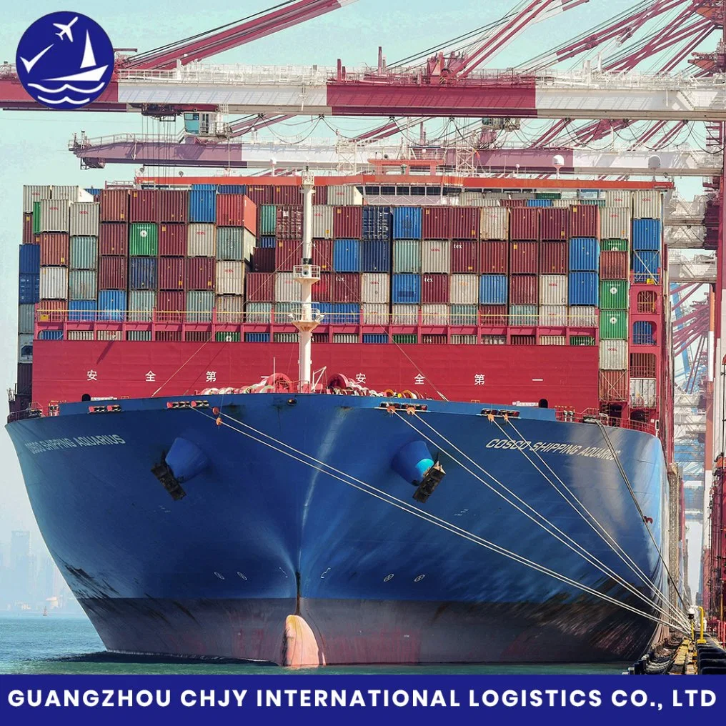 Shipping From China Shanghai/Shenzhen/Ningbo/Qingdao/Tianjin/Dalian to USA/Canada/Europe/UK/Australia Professional Shipping Freight Forwarder Sea Freight