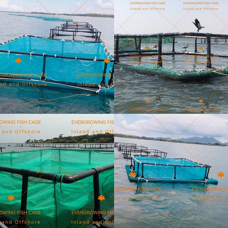 Aquaculture PE Fishing Netting Knotless Juvenile Circular Cage Fish Farming Nets