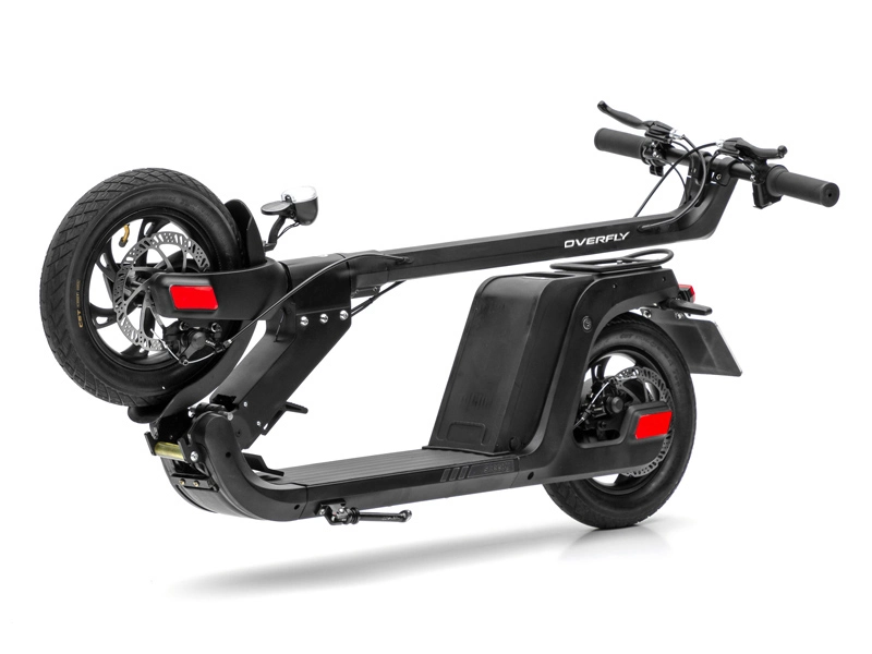 Nabenantrieb Motor Scooter eBike Lastlager 100kg mit integriert Batterie