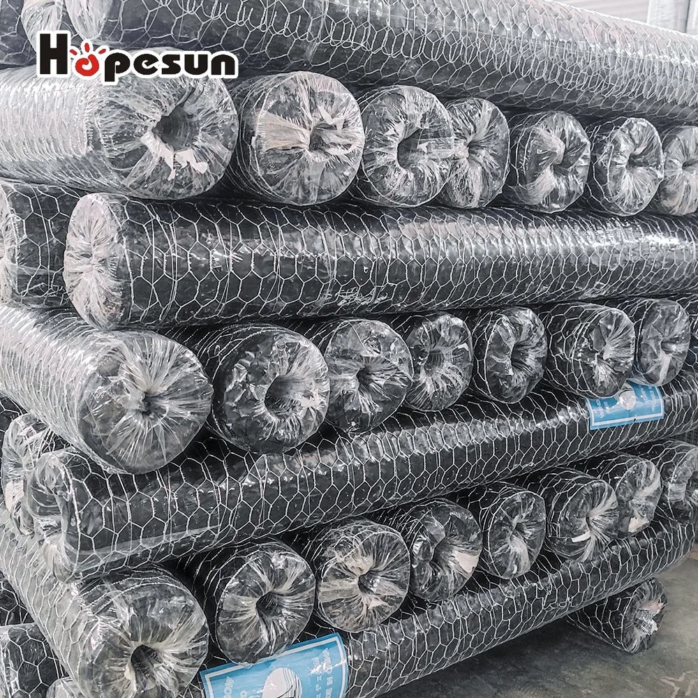 Best-Selling PVC Galvanized Chicken Wire Hexagonal Wire Mesh