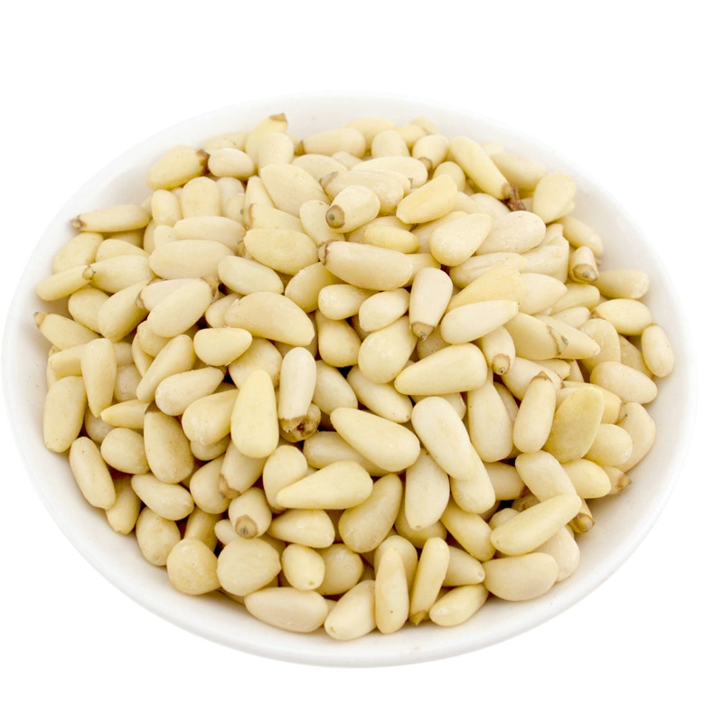 Top Quality Pine Nuts Kernels