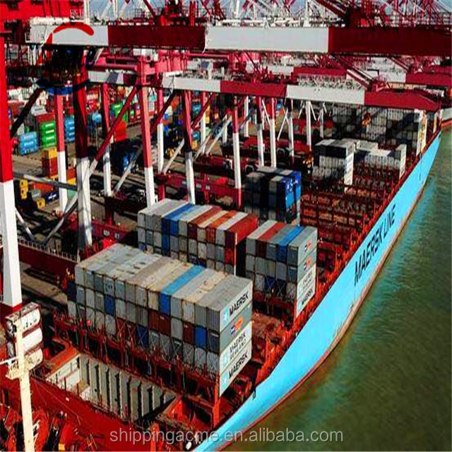 China Container LCL Spediteur von Qingdao/Shenzhen/Guangzhou/Ningbo/Shanghai nach Eurpore Broker