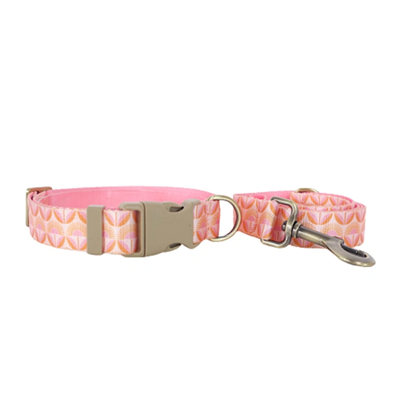 Fashion Dog Belt Nylon Rope Dog Pet Walking Collar