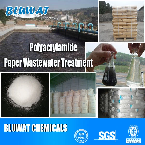 High Molecular Cationic Polyacrylamide PAM Flocculant for Paper Mill