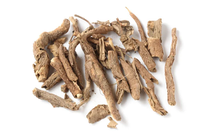 Wu Jia Pi Chinese Herbal Medicine Hot Sales Cortex Acanthopanacis